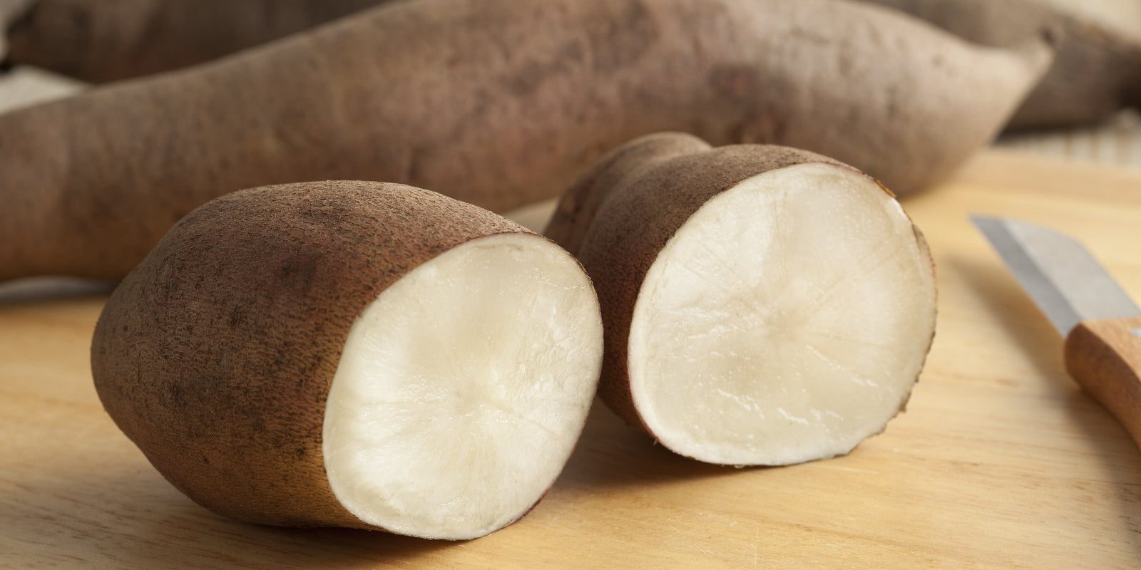How to Grow Yacon in Australia