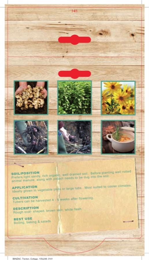 Jerusalem Artichoke (Pack of 3 Tubers) (TC) - Happy Valley Seeds