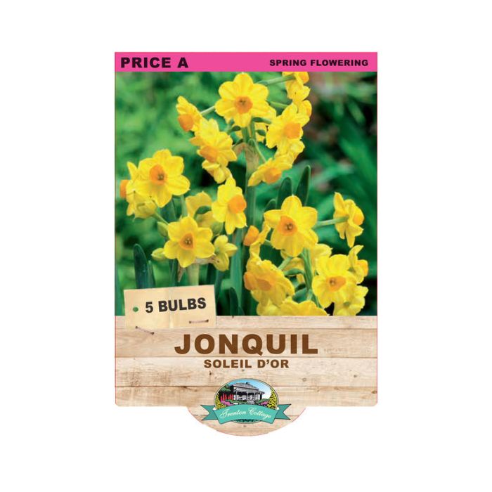 Jonquil Soleil D'or (Pack of 5 Bulbs) - Happy Valley Seeds