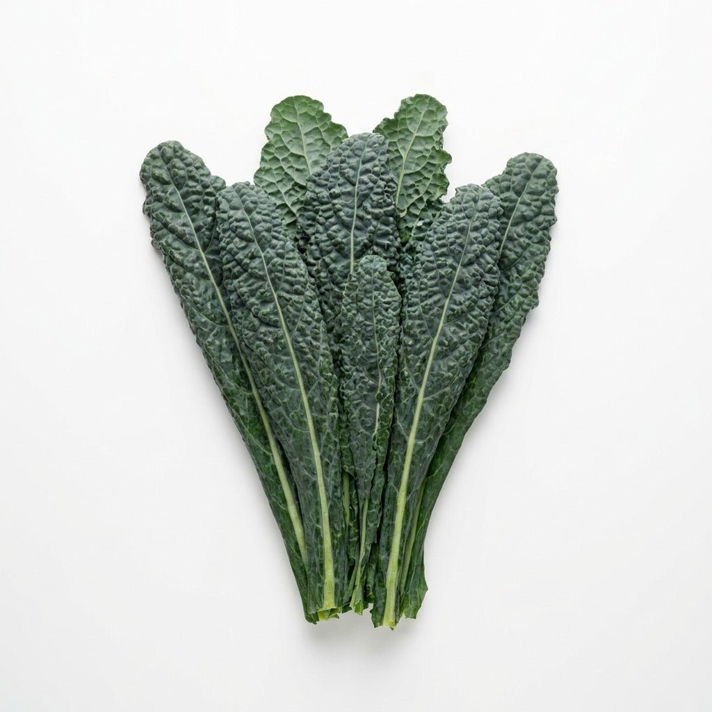 Kale - Black Nero Di Toscana seeds (Organic) - Happy Valley Seeds