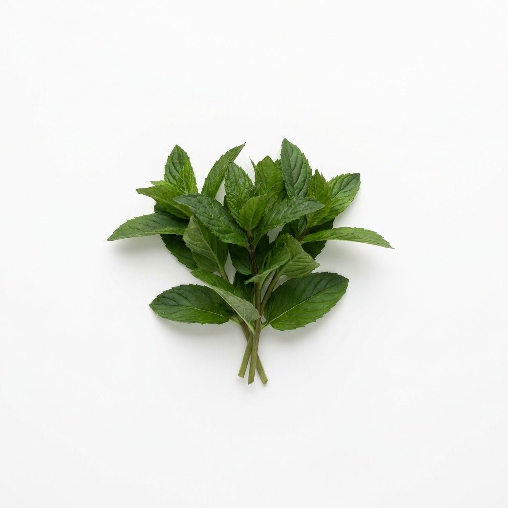 Mint - Peppermint seeds (Organic) - Happy Valley Seeds