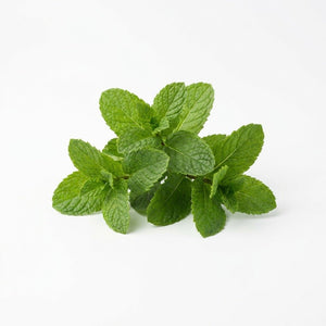 Mint - Spearmint seeds (Organic)