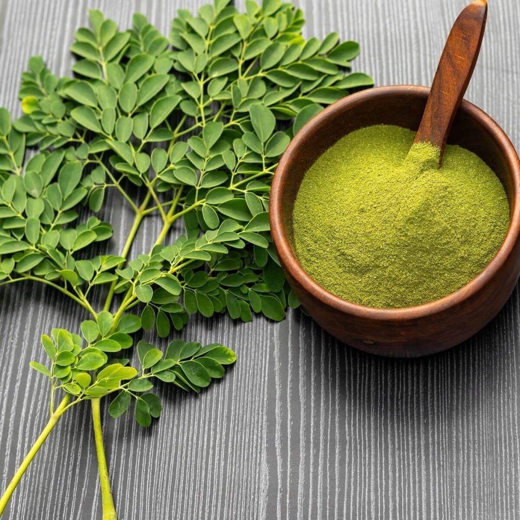 Moringa Tree seeds - Happy Valley Seeds