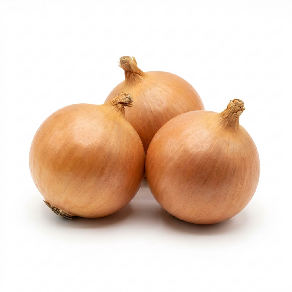 Onion - Brown Odourless seeds