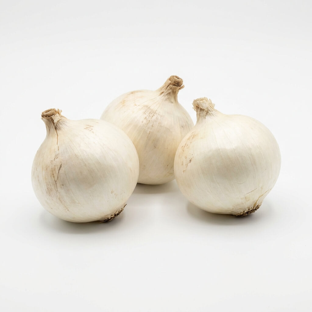 Onion - White Odourless seeds