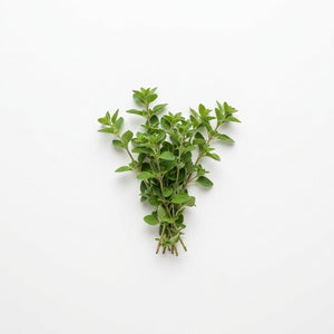Oregano seeds (Organic)