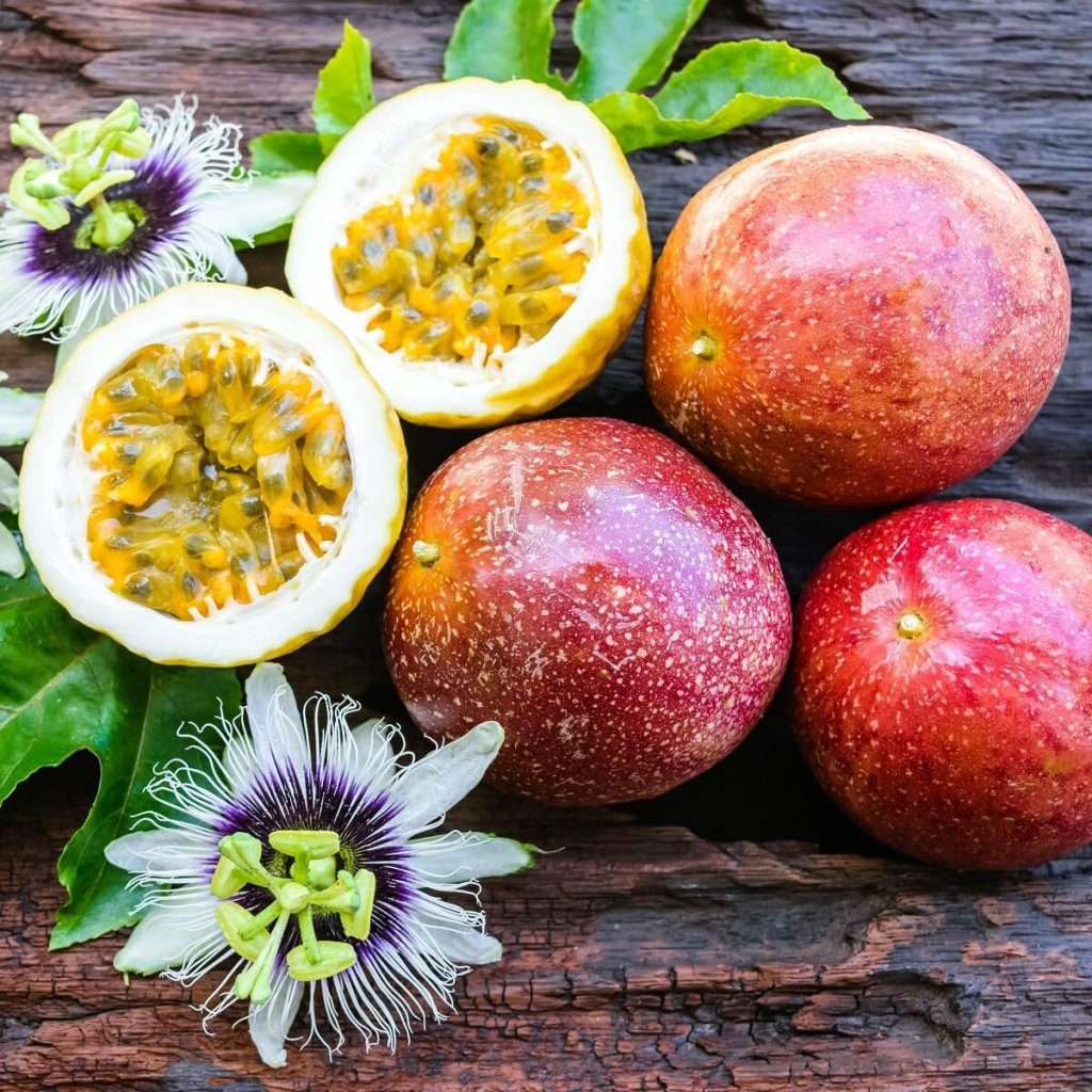 Passionfruit - Panama Red seeds - Happy Valley Seeds