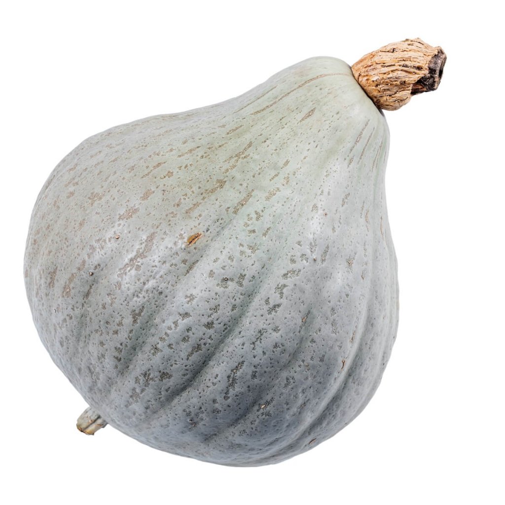 Pumpkin - Baby Blue seeds - Happy Valley Seeds
