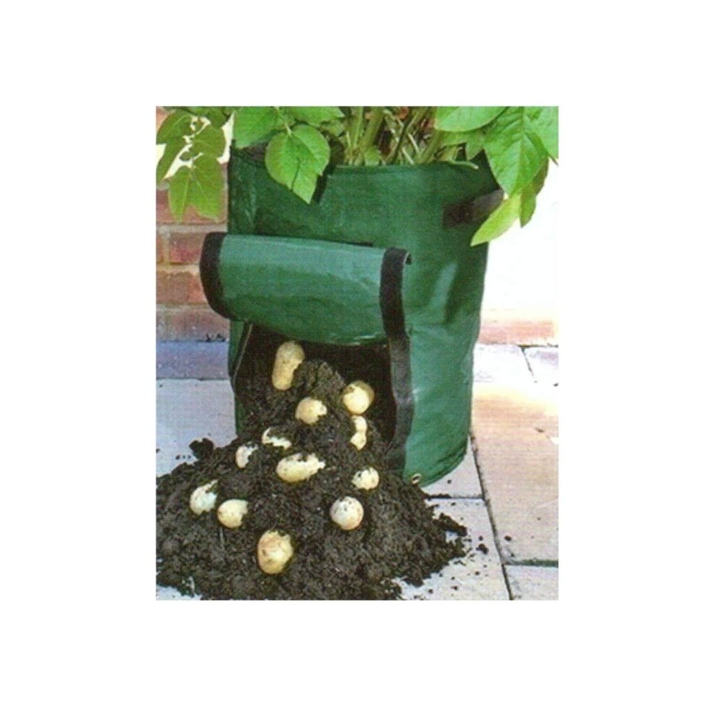 Ryset - Potato Growing Bag - Happy Valley Seeds