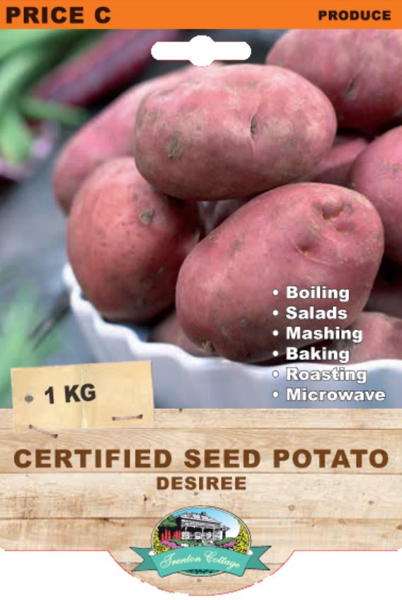 Seed Potato - Desiree (TC) - 1kg - Happy Valley Seeds