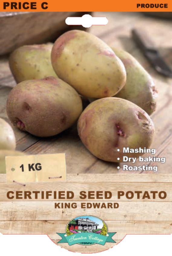 Seed Potato - King Edward (TC) - 1kg - Happy Valley Seeds
