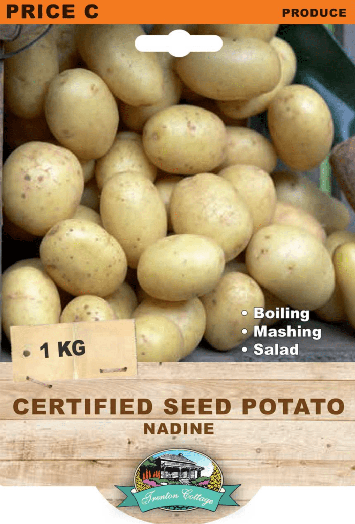Seed Potato - Nadine (TC) - 1kg - Happy Valley Seeds