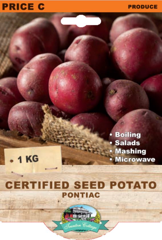Seed Potato - Pontiac (TC) - 1kg - Happy Valley Seeds