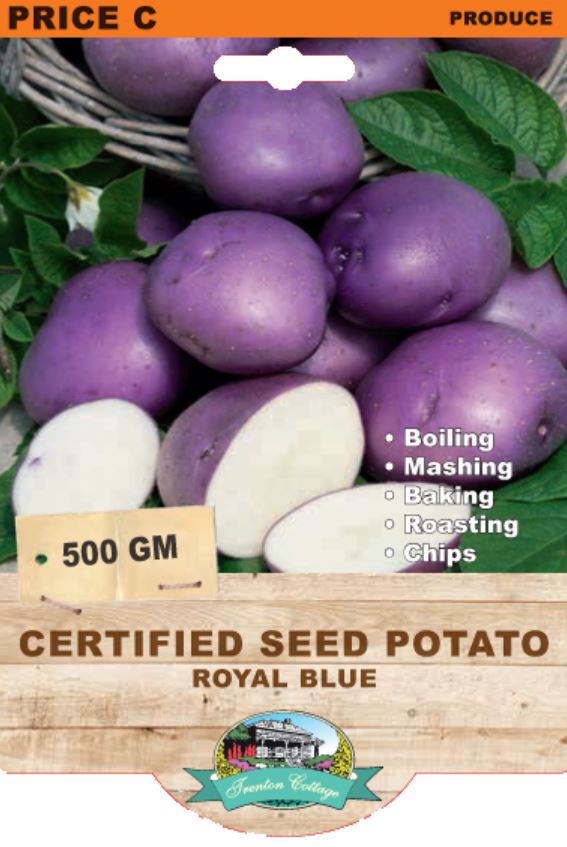Seed Potato - Royal Blue - 500g (TC) - Happy Valley Seeds