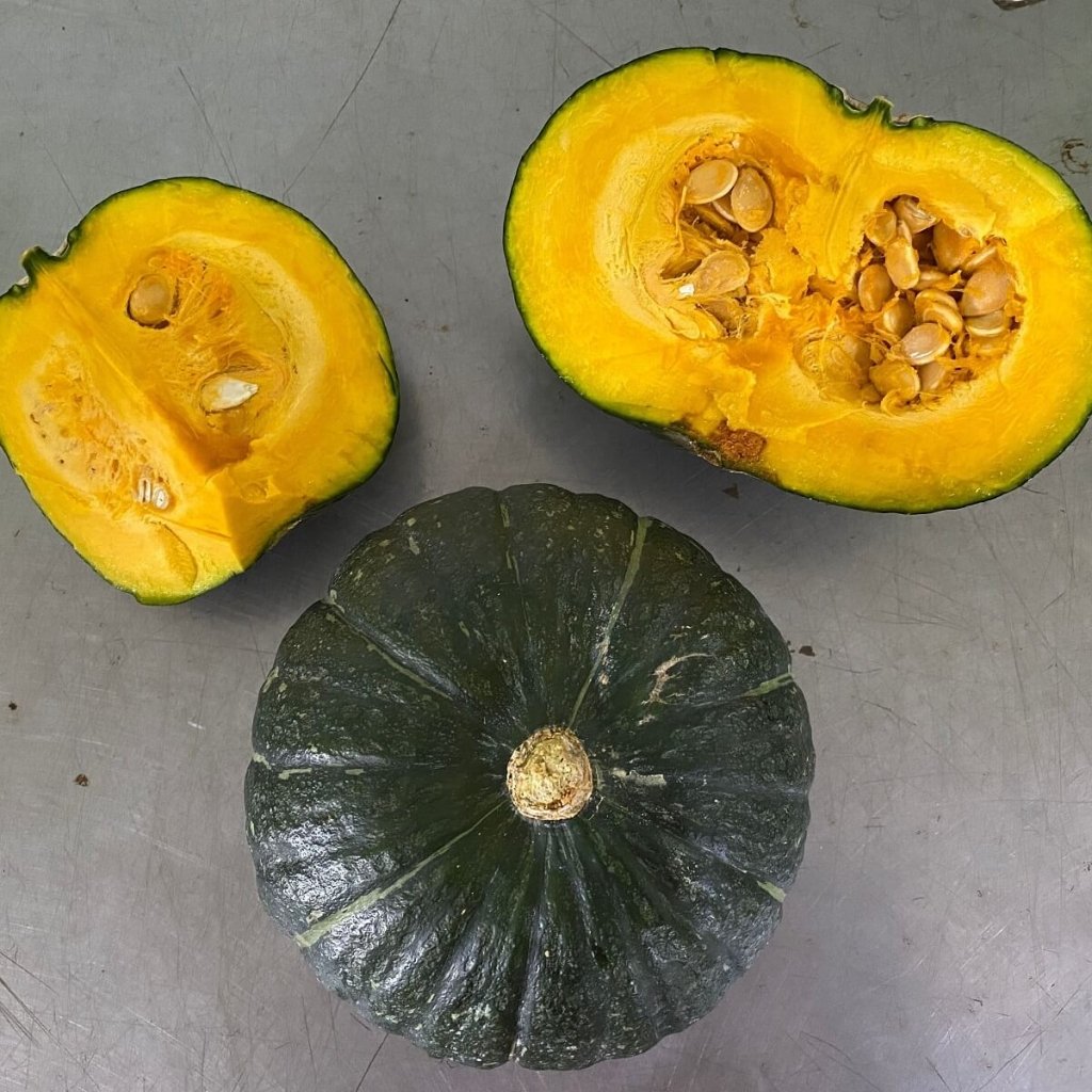 Squash (Kambocha) Kuriyutaka 7 F1 seeds - Happy Valley Seeds