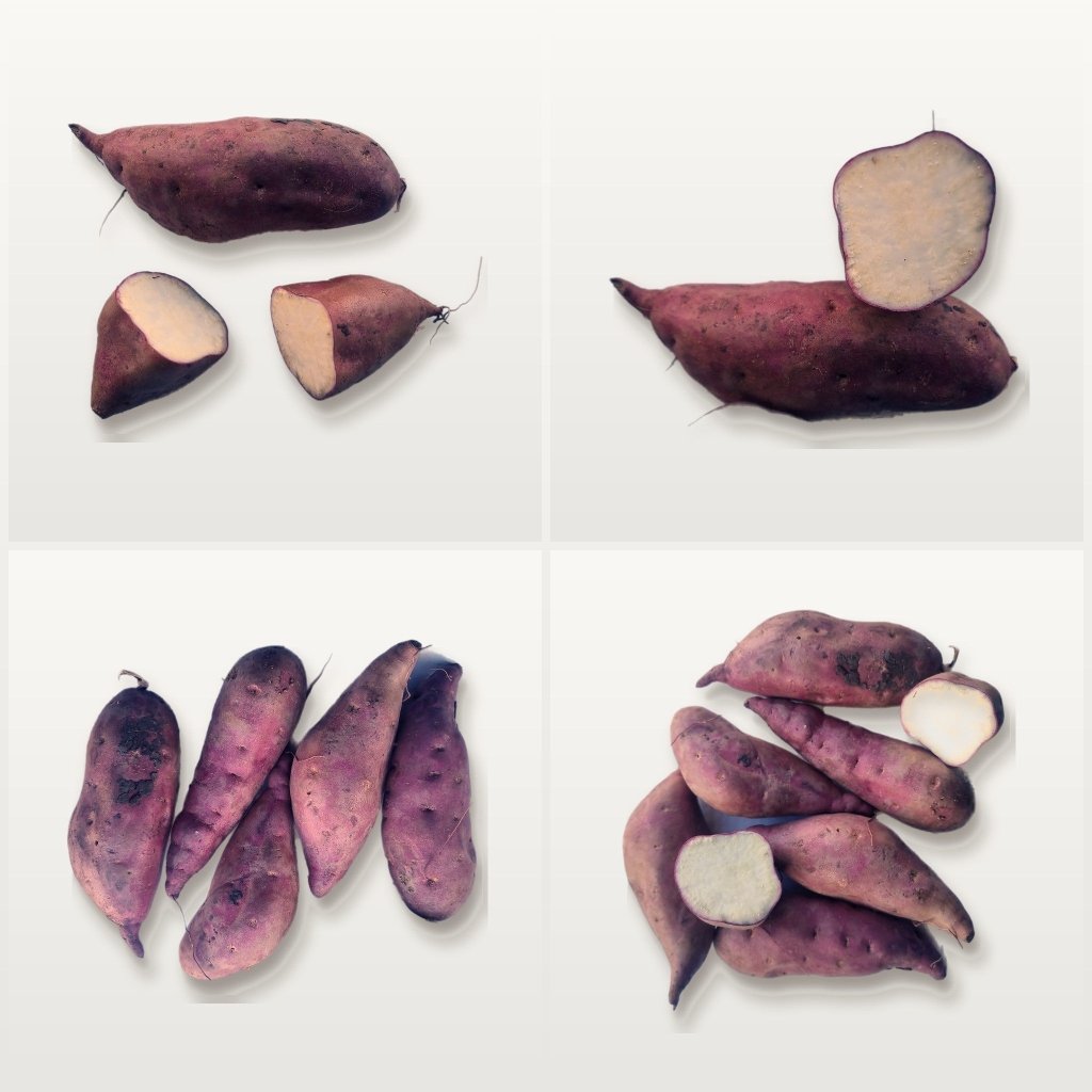 Sweet Potato - Northern Star Tubers - Happy Valley Seeds