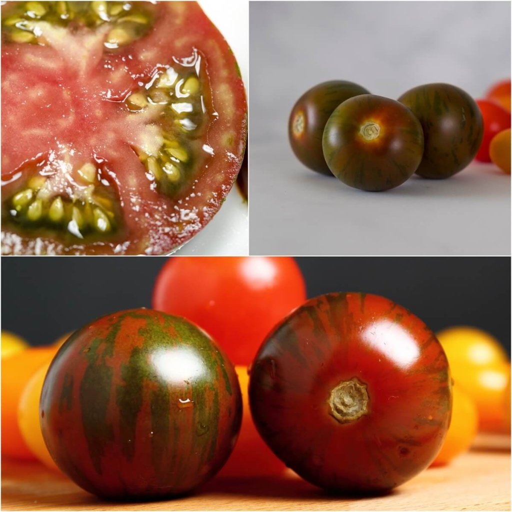 Tomato - Black Zebra seeds - Happy Valley Seeds