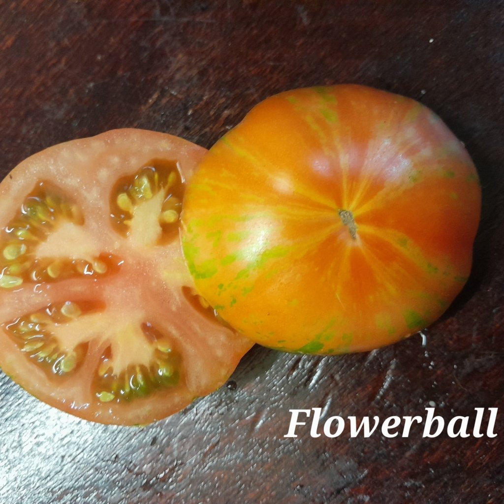 Tomato - Flowerball seeds - Happy Valley Seeds