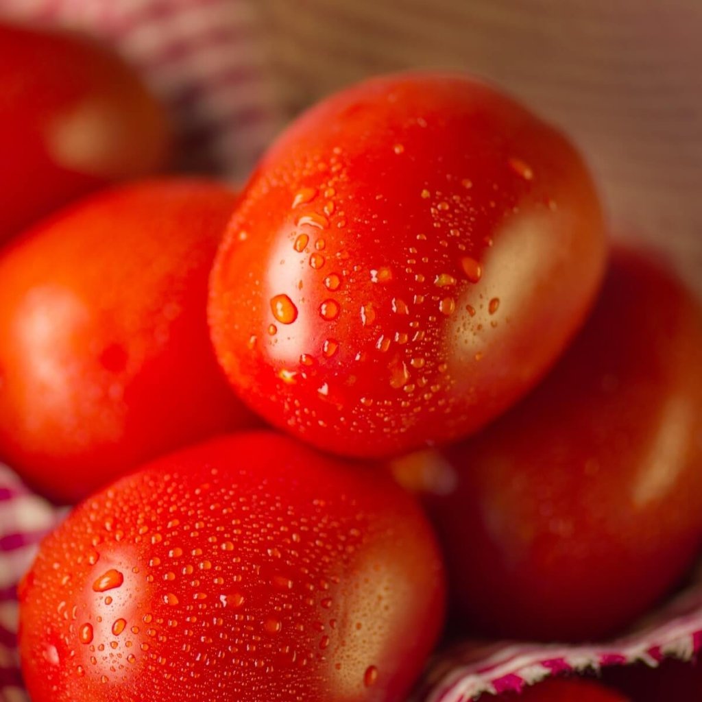 Tomato - Greenpatch Gold seeds - Happy Valley Seeds