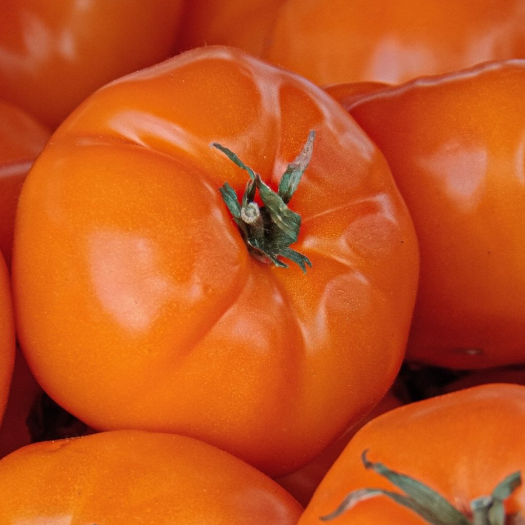 Tomato - Orange Strawberry seeds - Happy Valley Seeds
