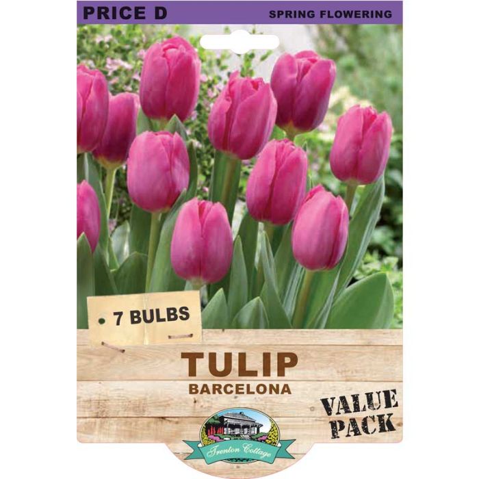 Tulip Barcelona (Pack of 7 Bulbs) - Happy Valley Seeds
