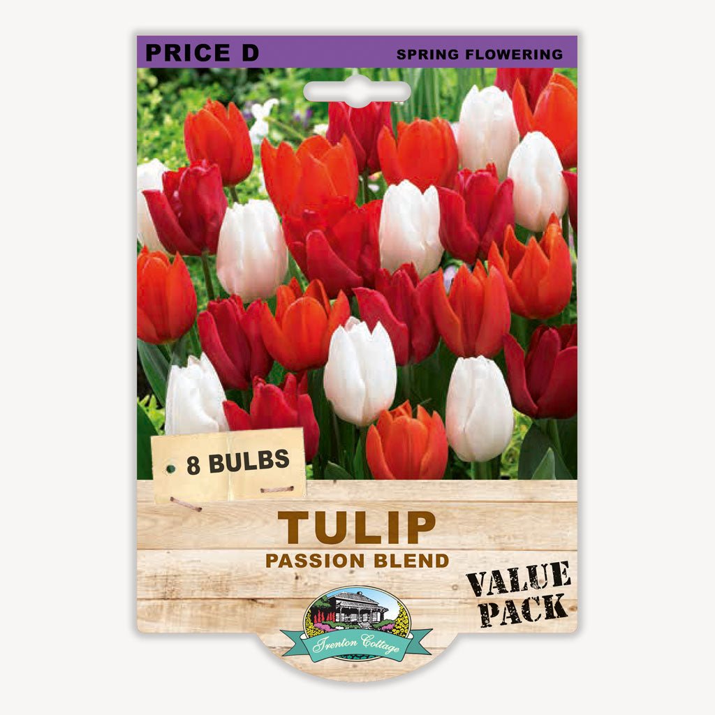 Tulip Passion Blend (Pack of 8 Bulbs) - Happy Valley Seeds