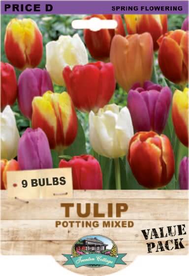 Tulip Potting Mixed (Pack of 9 Bulbs) - Happy Valley Seeds