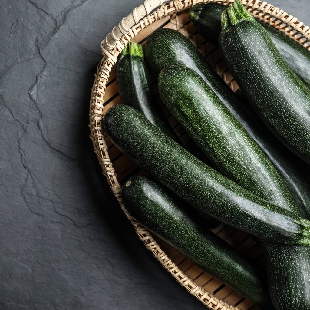 Zucchini - Black Congo F1 seeds - Happy Valley Seeds