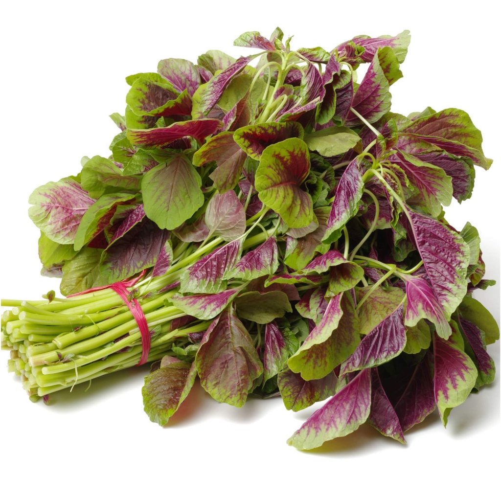 Amaranth - Red Leaf seeds - Happy Valley Seeds