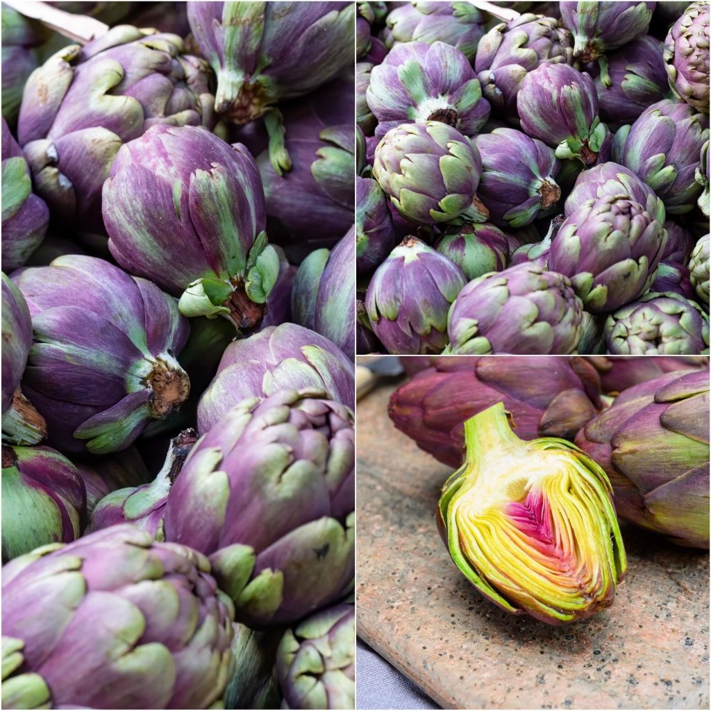 Artichoke - Purple Headed seeds - Happy Valley Seeds