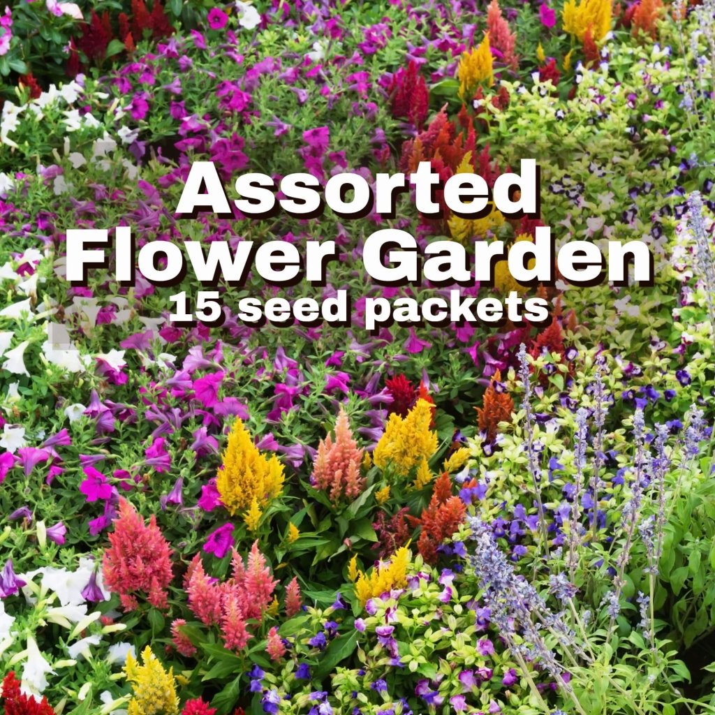 Assorted Flower Seeds - 15 Packs - Happy Valley Seeds