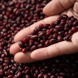 Bean - Adzuki seeds