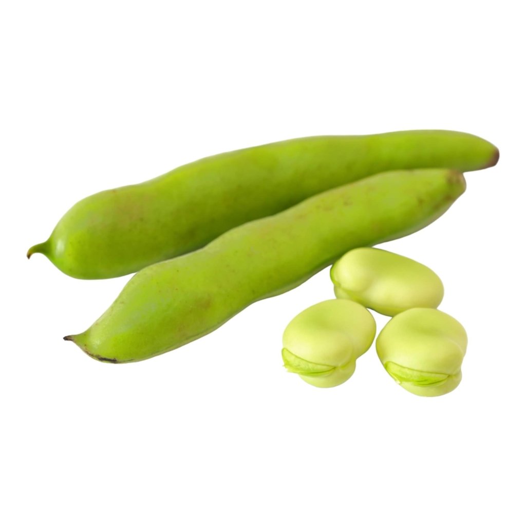 Bean Broad - Aquadulce seeds - Happy Valley Seeds
