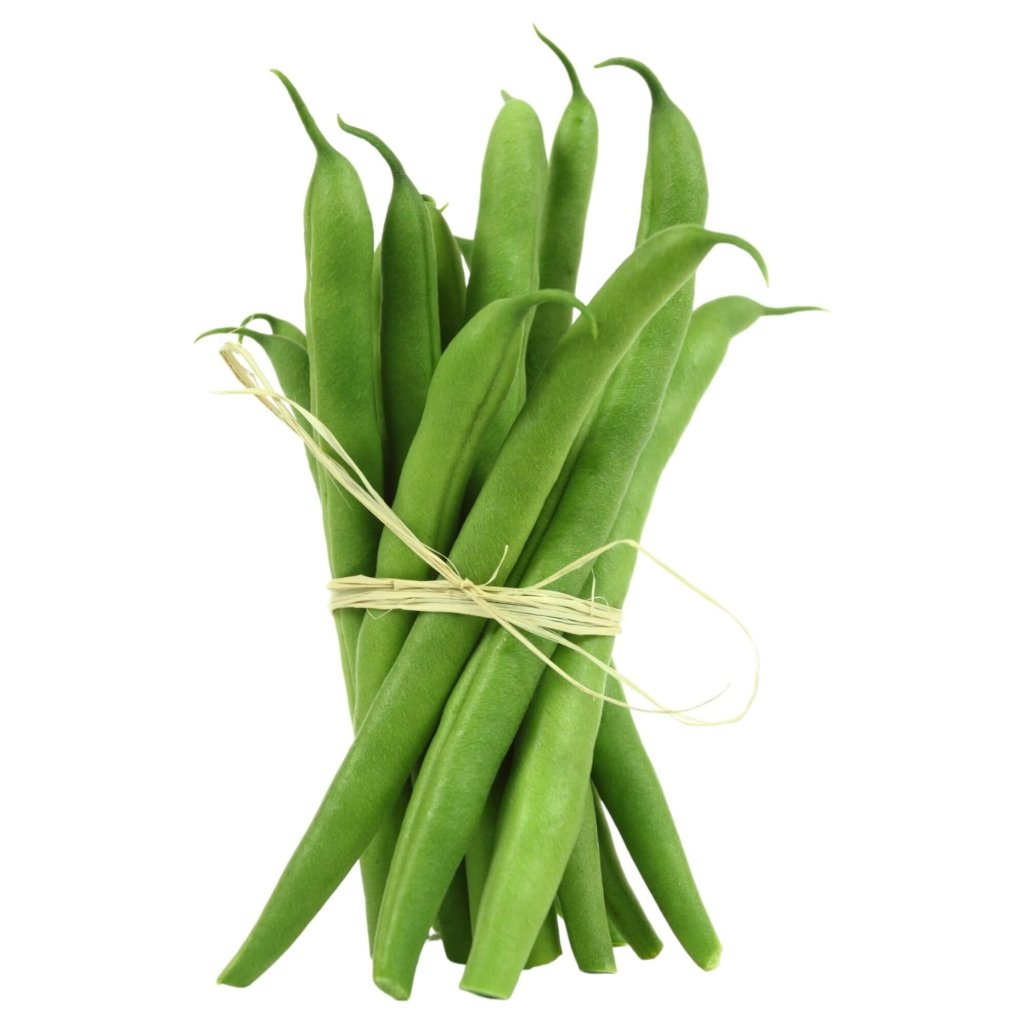 Bean Bush - Redlands Greenleaf seeds - Happy Valley Seeds