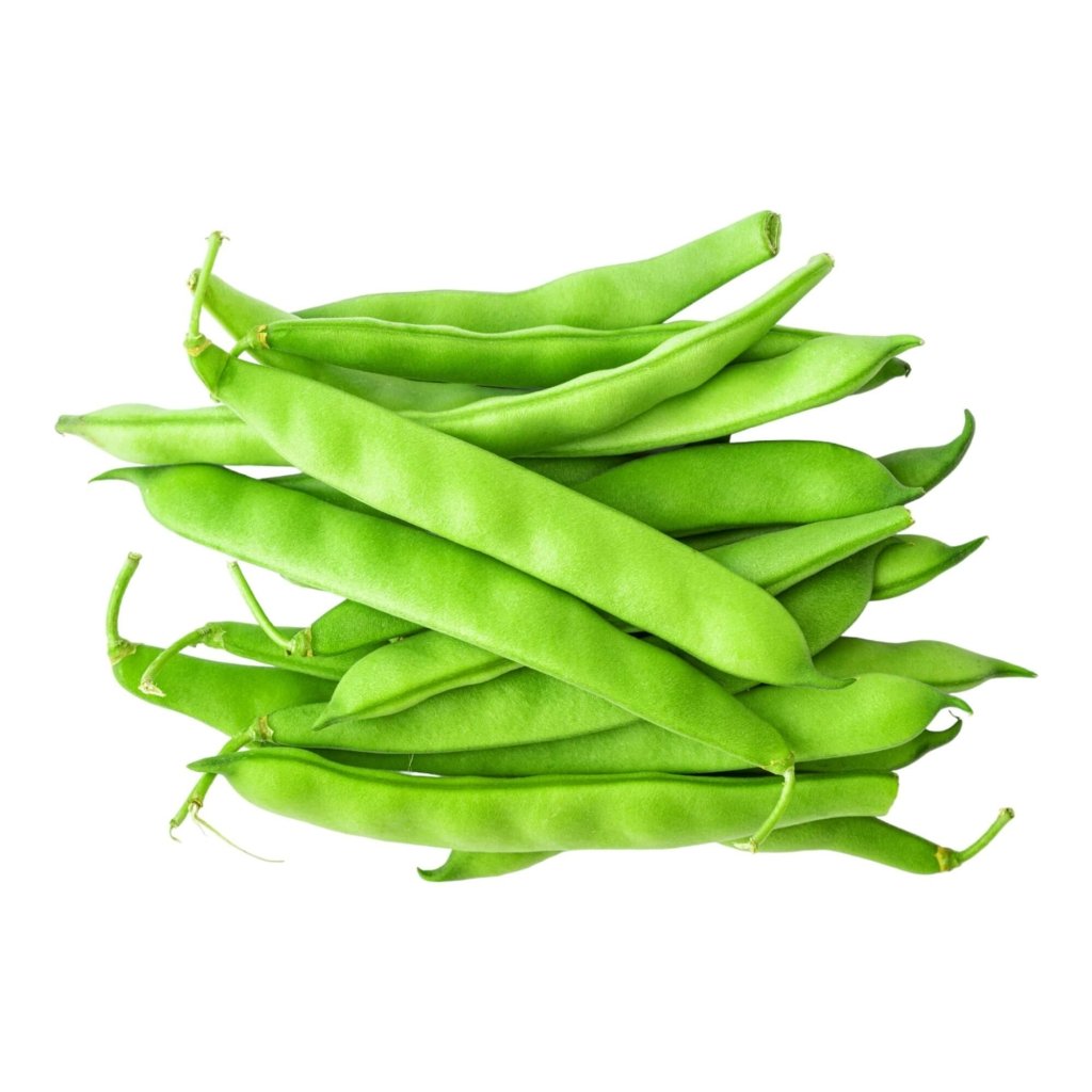 Bean Bush - Roma II seeds - Happy Valley Seeds