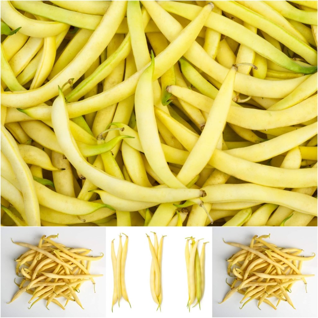 Bean Climbing - Kentucky Wonder Wax seeds - Happy Valley Seeds