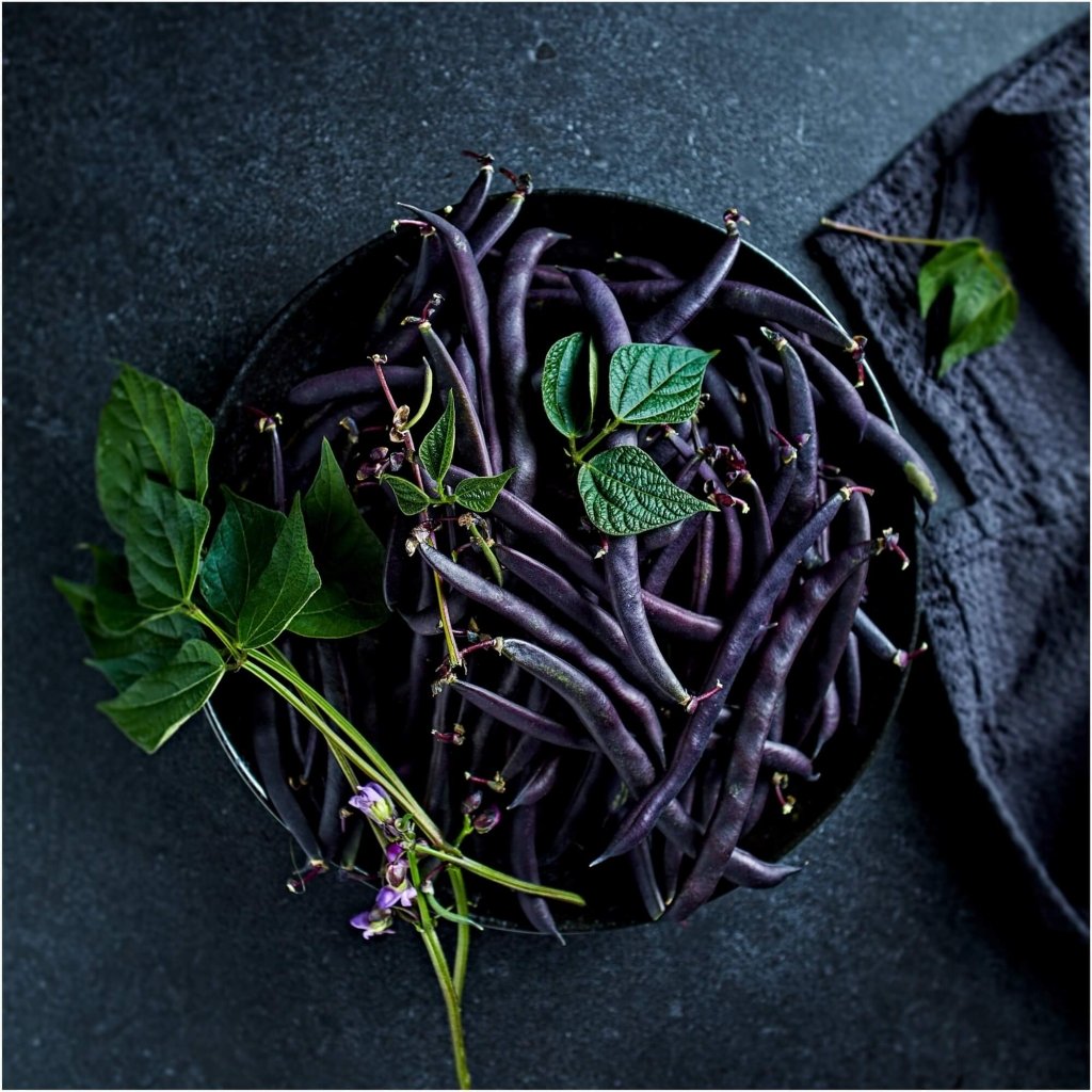 Bean Climbing - Purple King seeds - Happy Valley Seeds