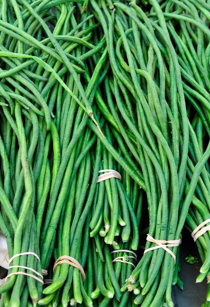 Bean Snake Climbing - Red Dragon seeds - Happy Valley Seeds
