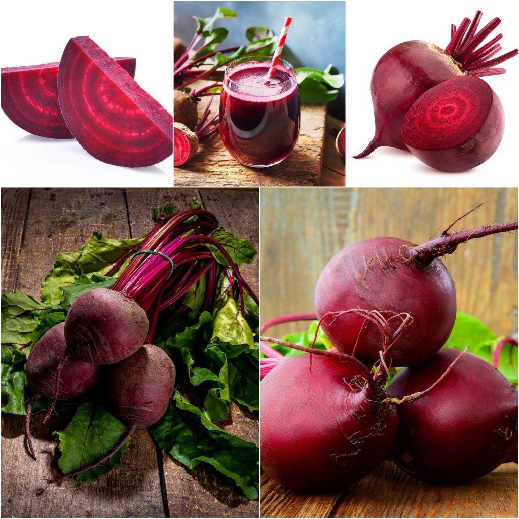 Beetroot - Bulls Blood seeds - Happy Valley Seeds