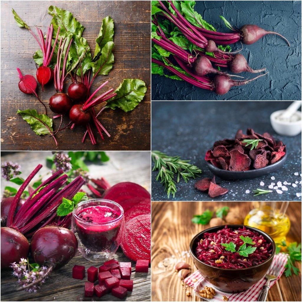 Beetroot - Early Wonder seeds - Happy Valley Seeds