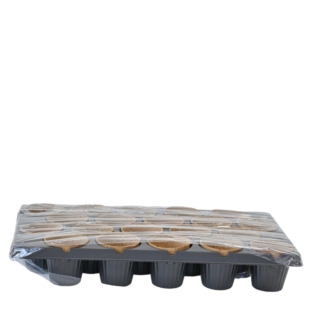 Bio Pots 8cm Starter Kit 20 Cell - Happy Valley Seeds