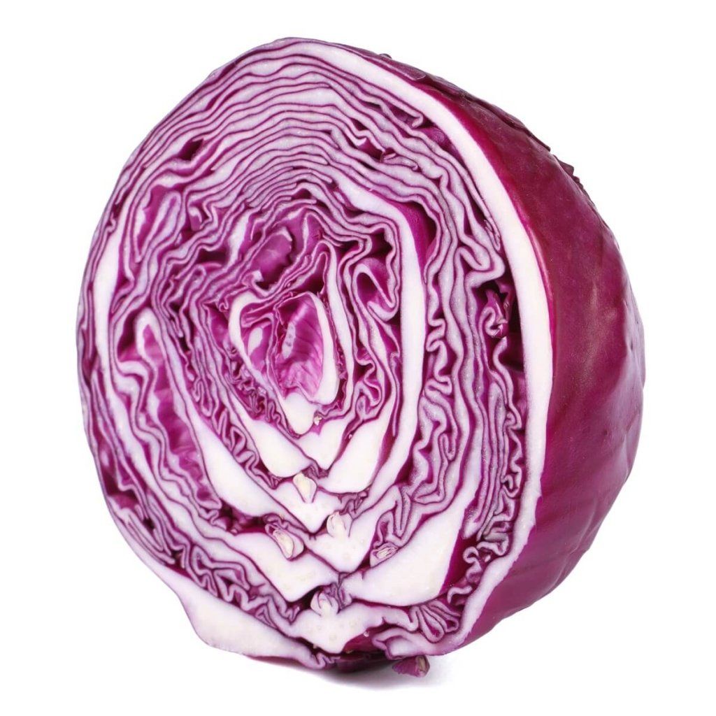 Cabbage - Mammoth Red Rock seeds - Happy Valley Seeds