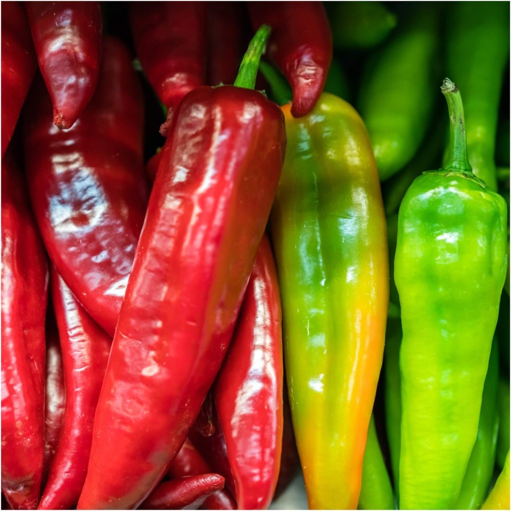 Capsicum - Bullhorn Red F1 seeds - Happy Valley Seeds