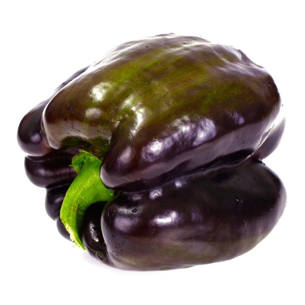 Capsicum - Chocolate Beauty seeds - Happy Valley Seeds