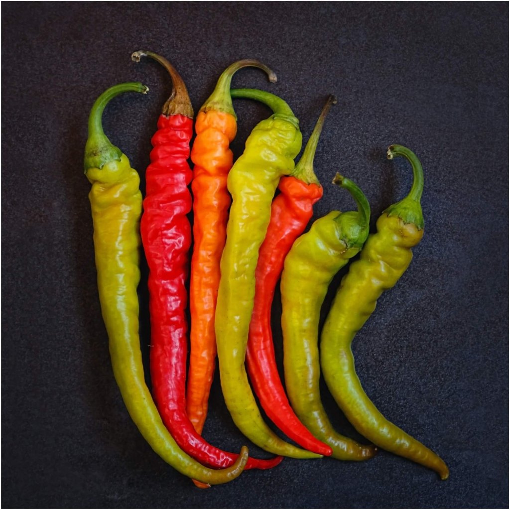 Capsicum - Peperone seeds - Happy Valley Seeds