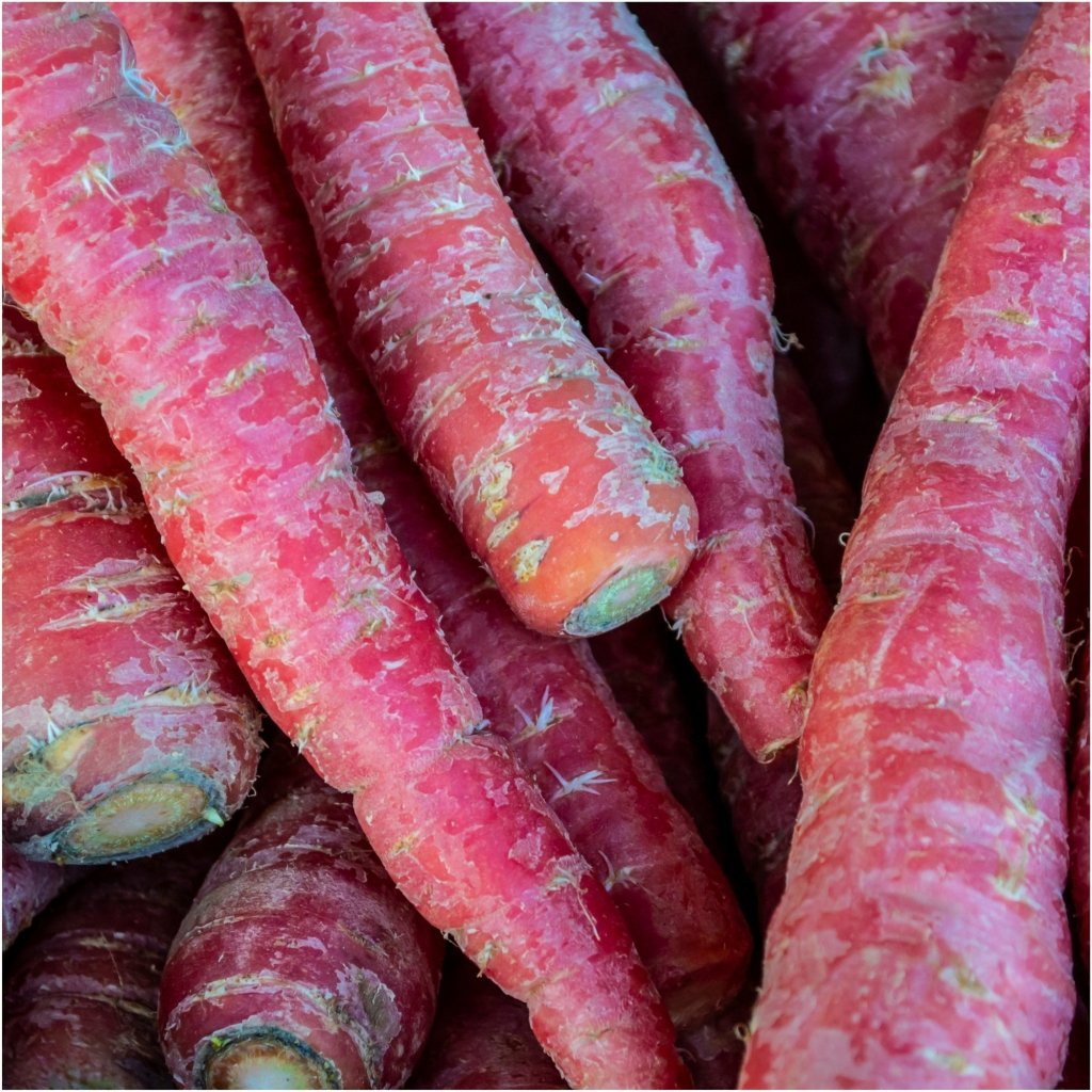 Carrot - Atomic Red seeds - Happy Valley Seeds