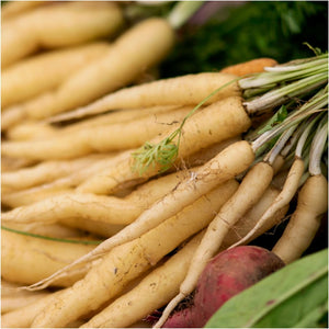 Carrot - Lunar White seeds