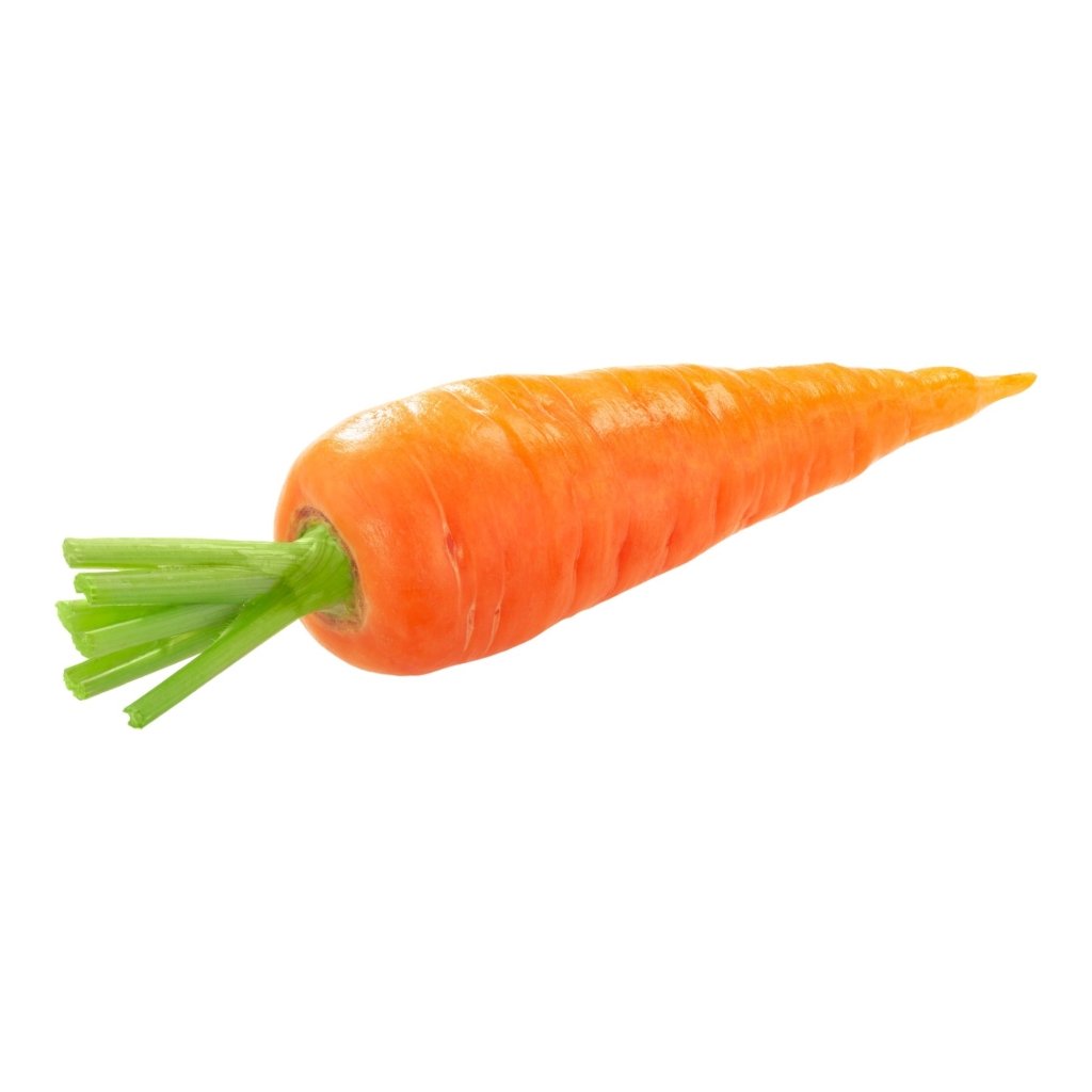 Carrot - Royal Chantenay seeds - Happy Valley Seeds