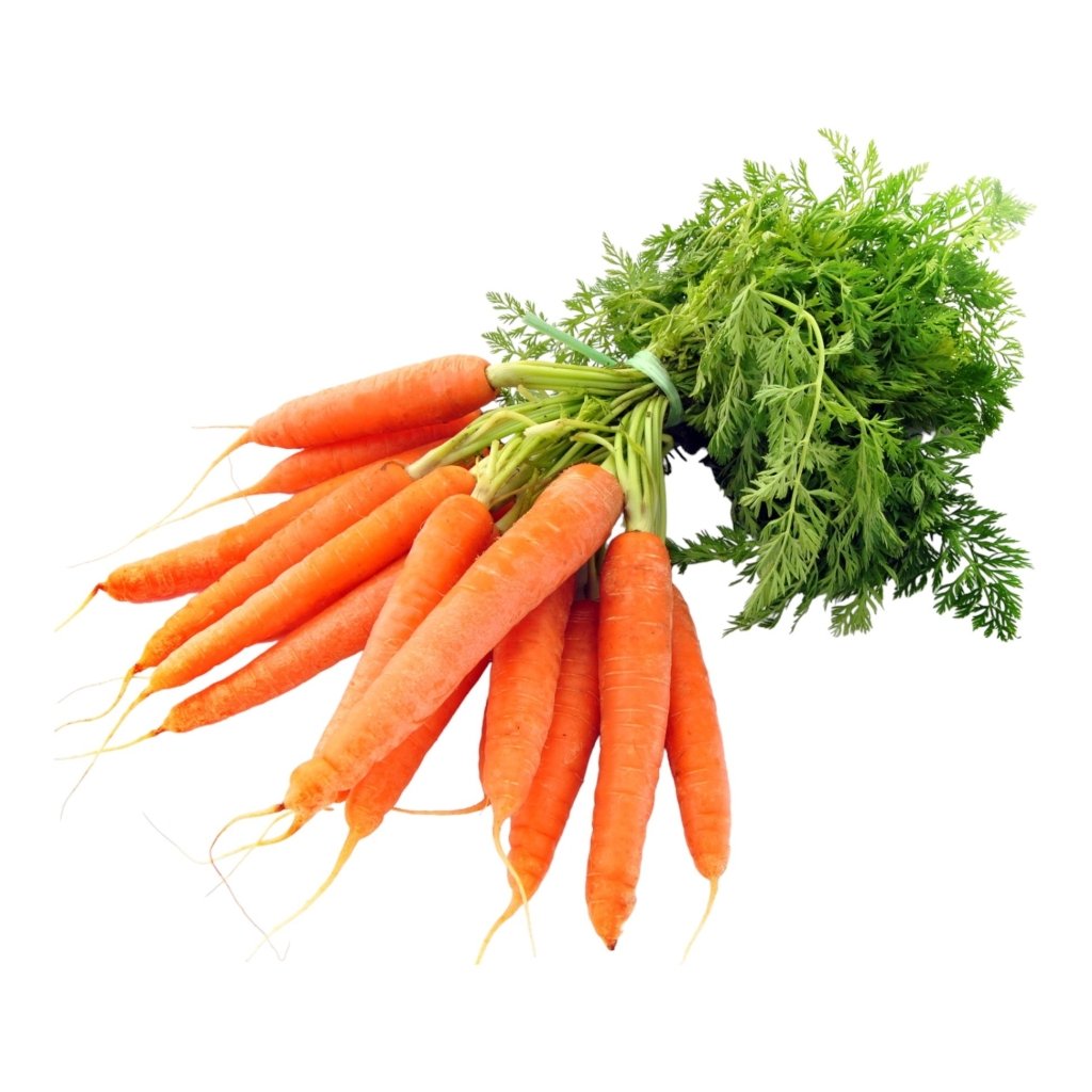 Carrot - Supabunch (Bunching) seeds - Happy Valley Seeds
