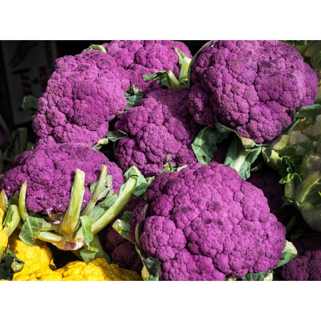 Cauliflower - Graffiti F1 seeds - Happy Valley Seeds